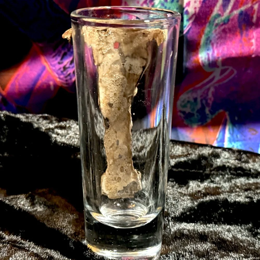 Double Shot Glass Xplor Park Mexico Mayan Ancient Civilization Theme